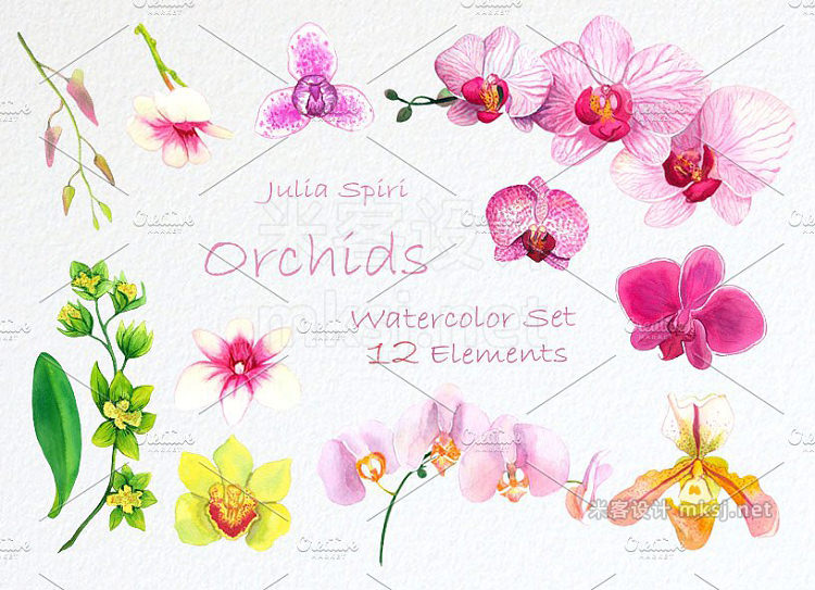 png素材 Orchids Watercolor Clip Art