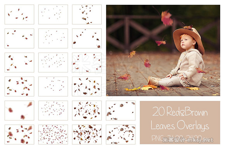 png素材 50 Autumn Leaves Overlays