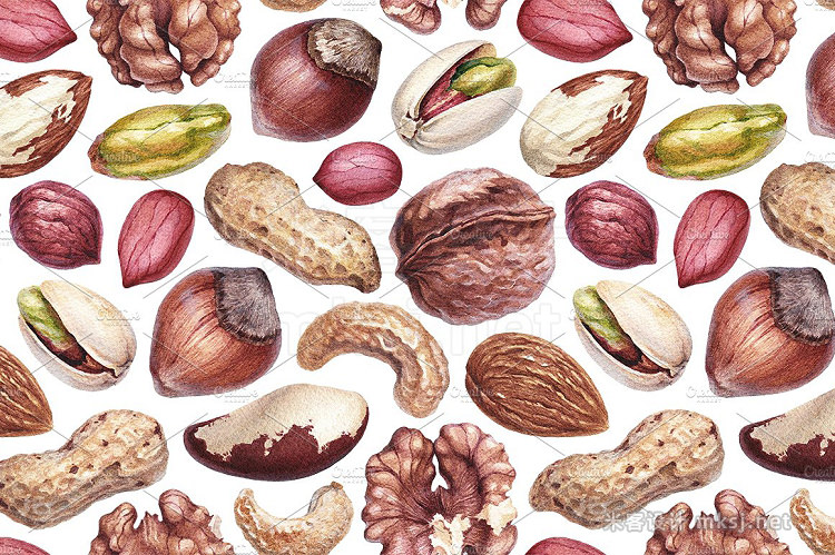png素材 Watercolour illustrations of nuts