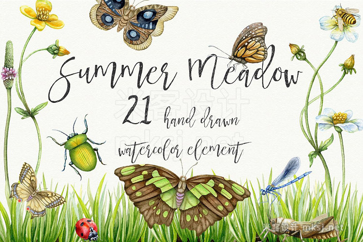 png素材 Summer Meadow Watercolor clipart