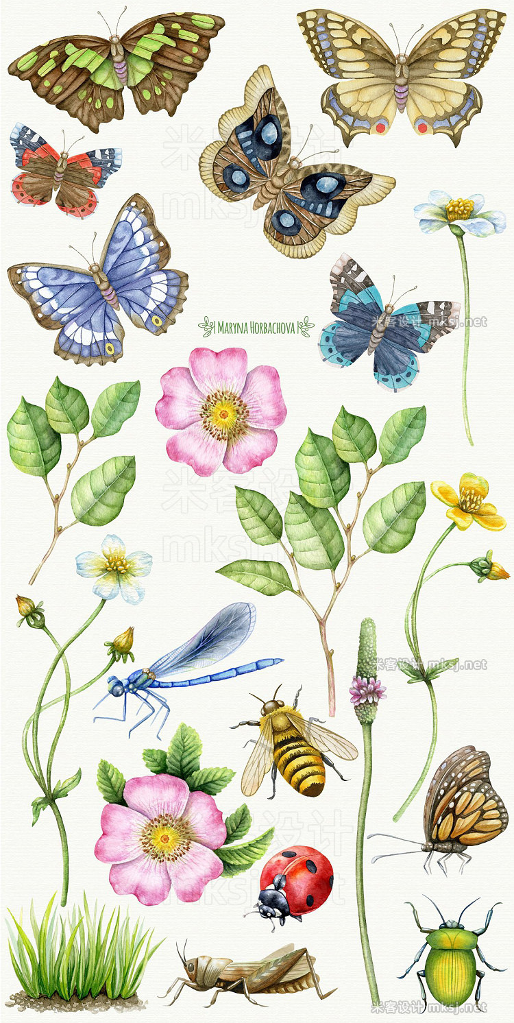 png素材 Summer Meadow Watercolor clipart