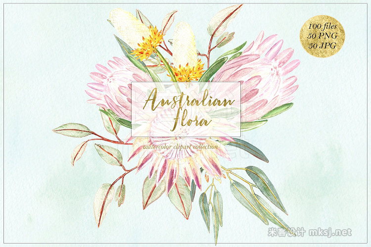 png素材 Australian Flora Watercolor clipart