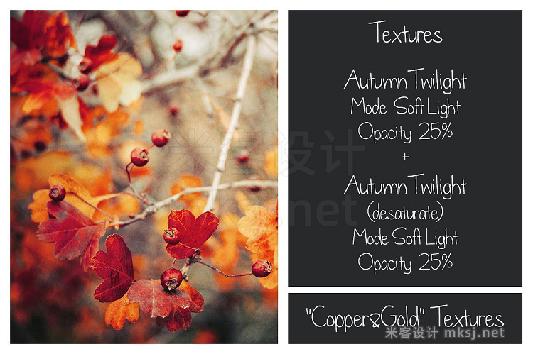 png素材 30 Autumn Textures