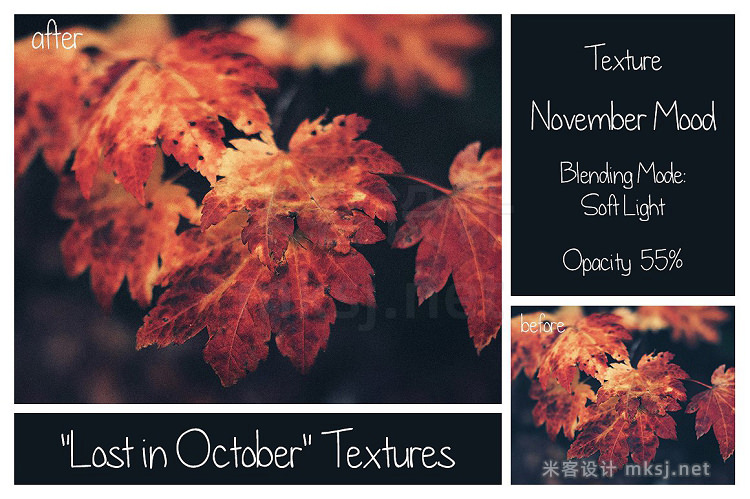 png素材 30 Autumn Textures