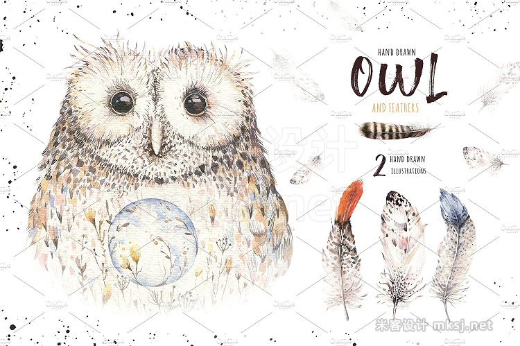 png素材 Watercolor owl feathers collection