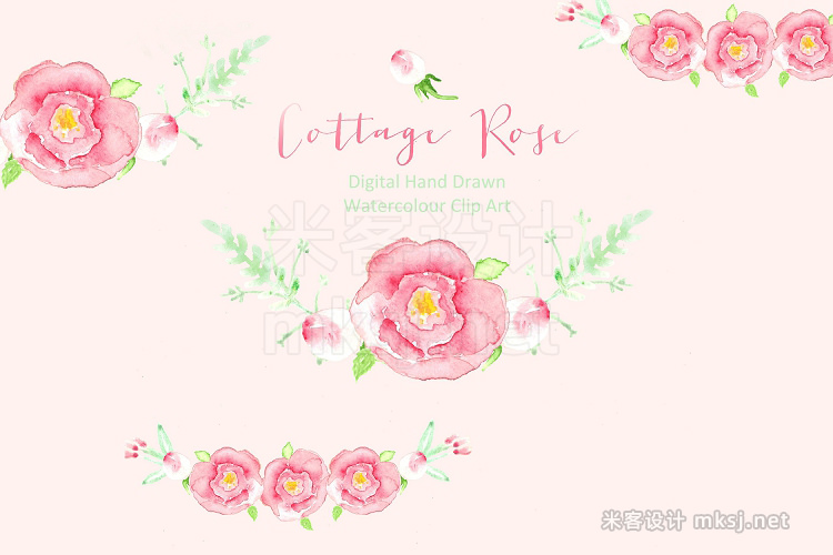 png素材 Cottage Rose Watercolor clip art
