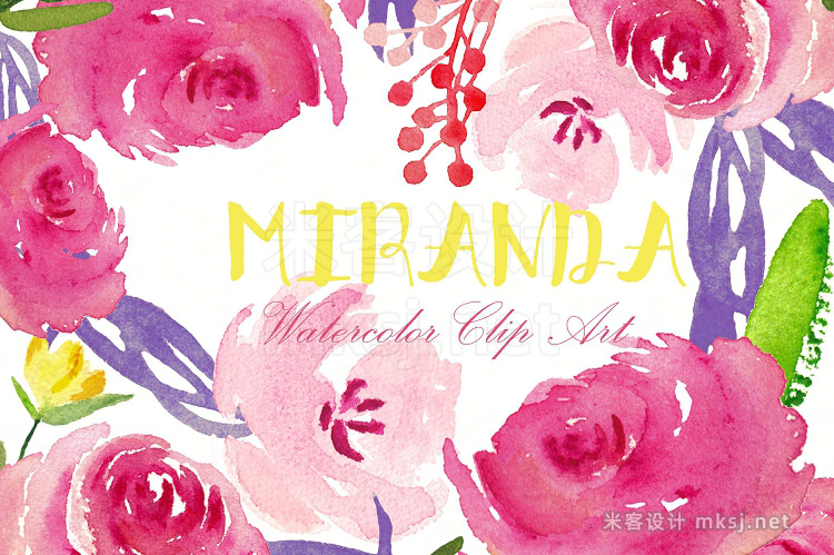 png素材 Miranda roses Watercolor Clipart