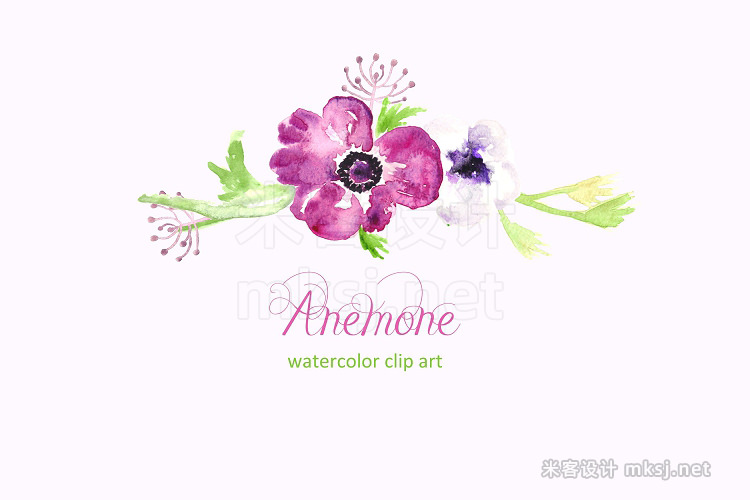 png素材 Anemone watercolor clip art