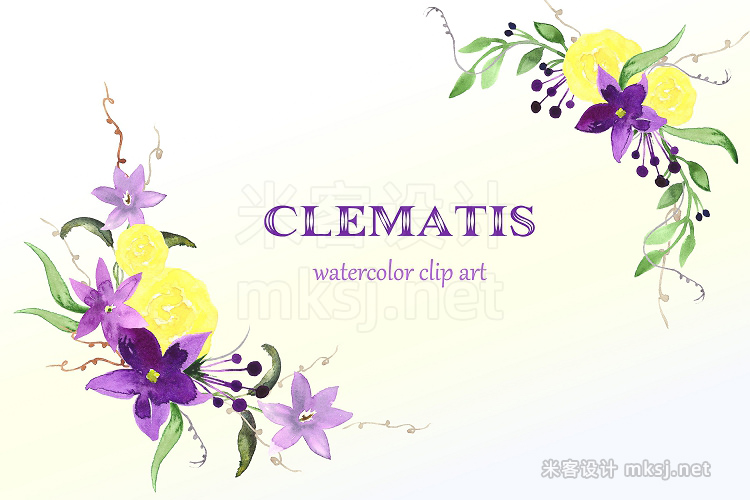 png素材 Clematis Purple Watercolor clip art