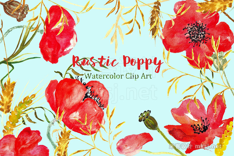 png素材 Ructic Poppy watercolor Clip Art