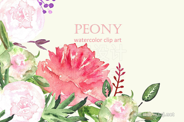 png素材 Peony watercolor collection