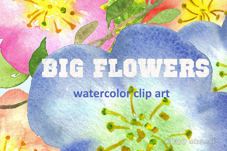 png素材 Big Flowers watercolor clip art
