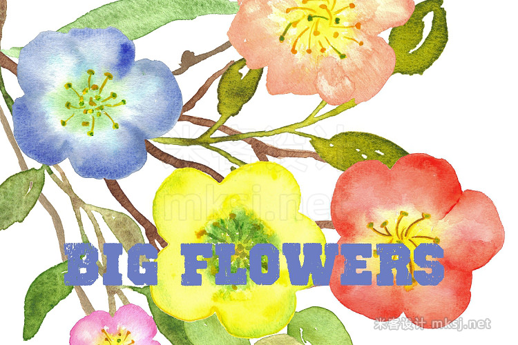 png素材 Big Flowers watercolor clip art