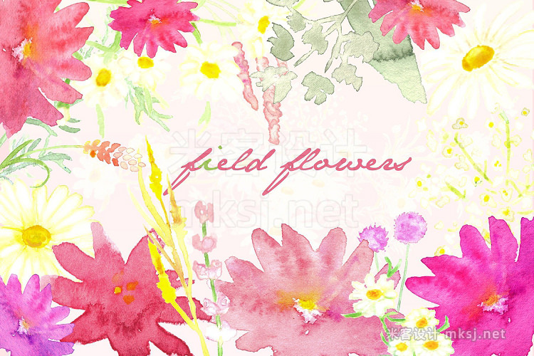png素材 Field Flowers watercolor clip art