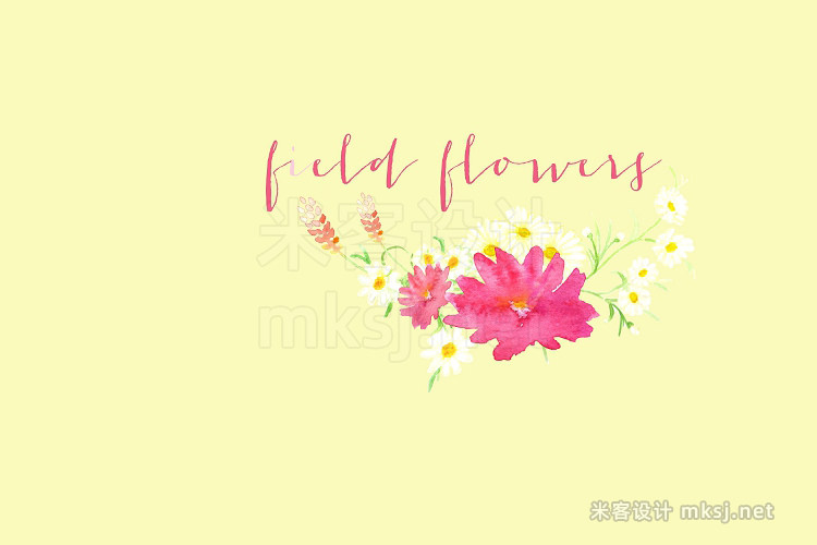 png素材 Field Flowers watercolor clip art
