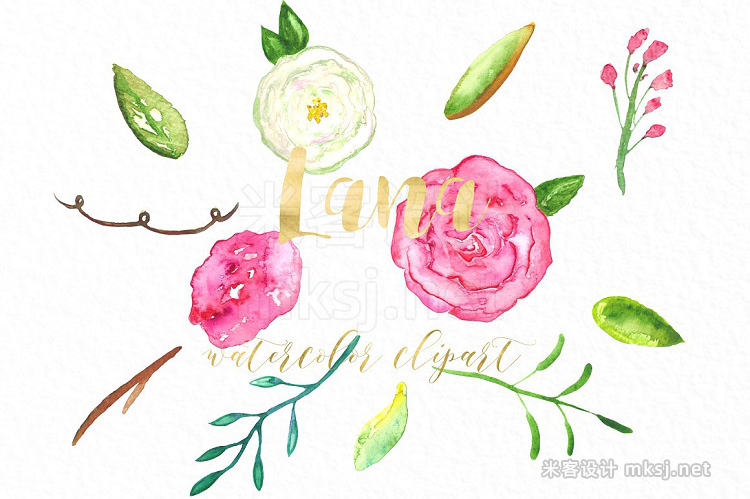 png素材 Roses Lana watercolor Clipart