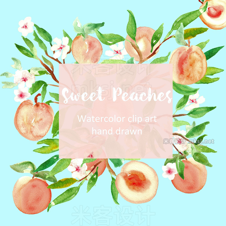 png素材 Peach Watercolor clip art