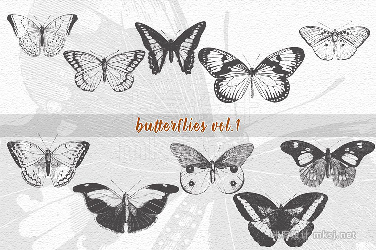 png素材 VintageVectorized-Butterfly Clipart