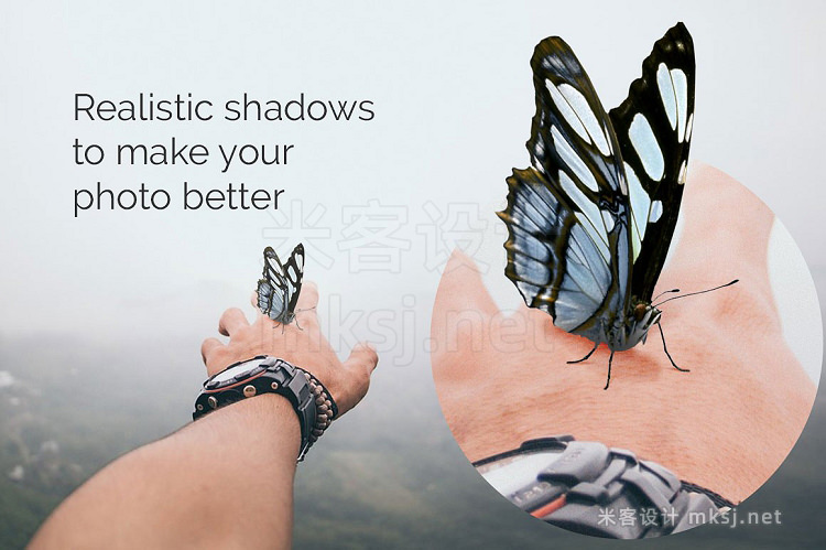 png素材 21 Butterflies Photoshop Overlays