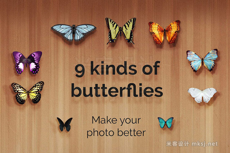 png素材 21 Butterflies Photoshop Overlays