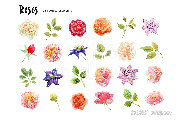 png素材 Roses Watercolor collection