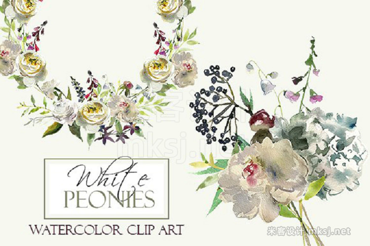 png素材 Watercolor White Flowers Clipart