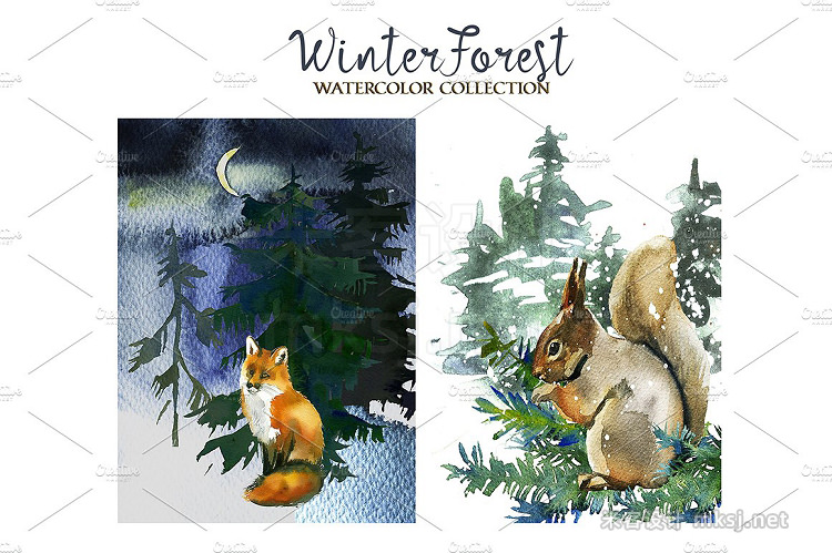 png素材 Forest Fir Trees Watercolor Clipart