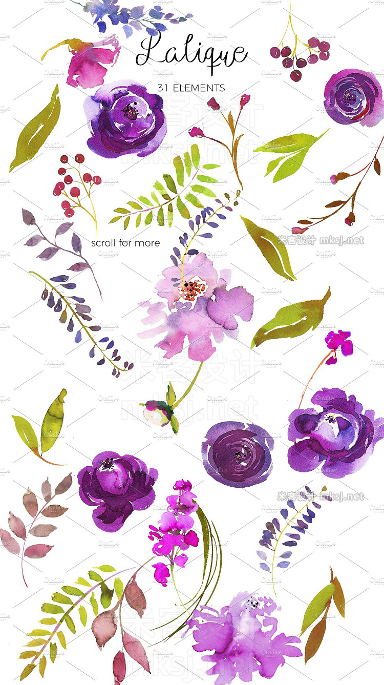 png素材 Violet Purple Watercolor Flowers
