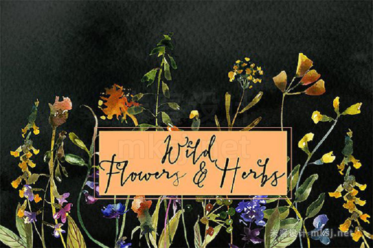 png素材 Wild Flowers Herbs Watercolor Set