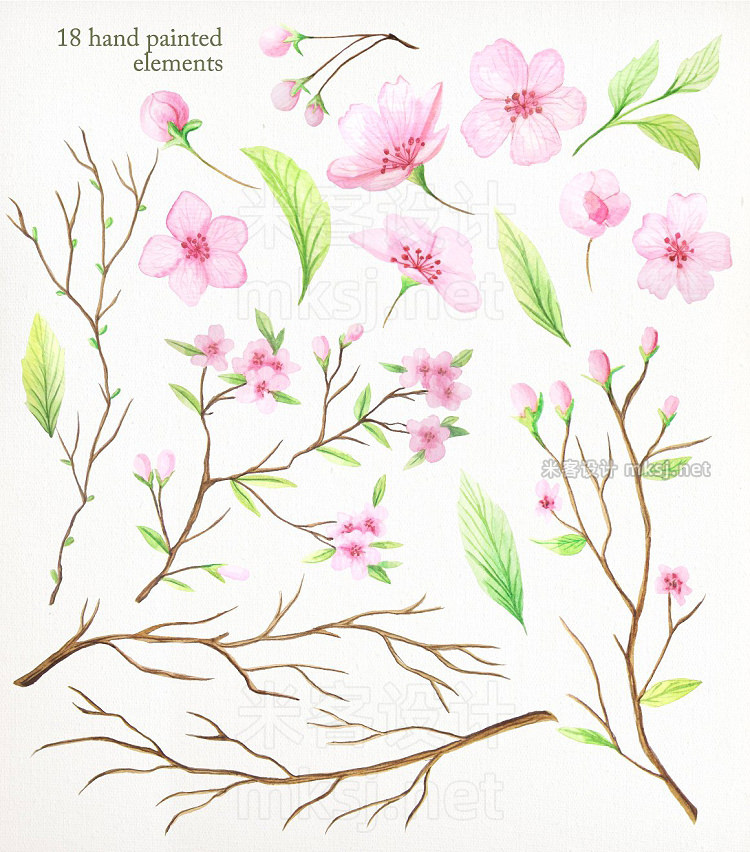 png素材 Watercolor Cherry Blossoms