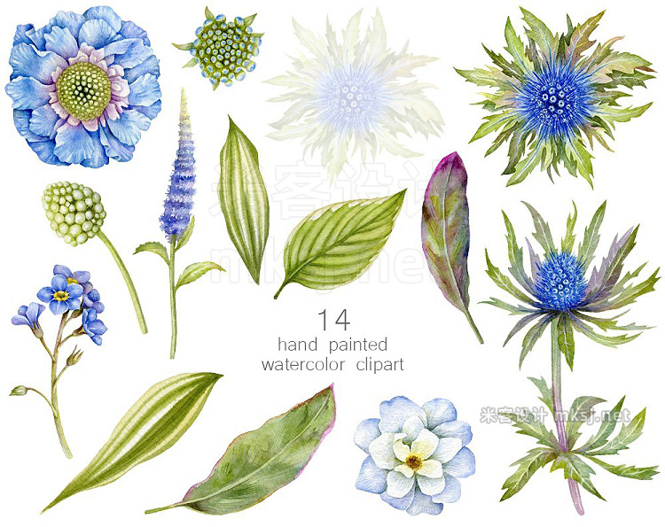 png素材 Blue Watercolor floral clipart PNG