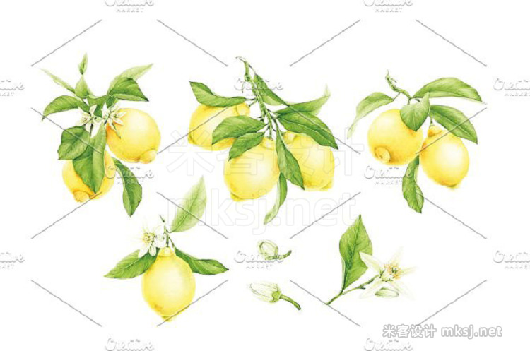 png素材 Watercolor Lemons