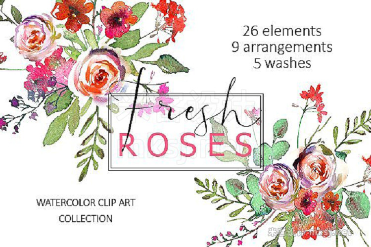 png素材 Watercolor Floral Graphic Bundle