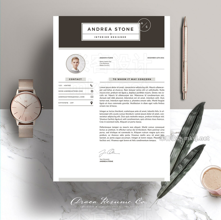 png素材 Resume Template 3 Page Pack Brown