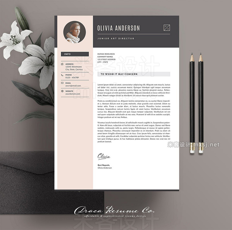 png素材 Resume Template 3 Pages Pink