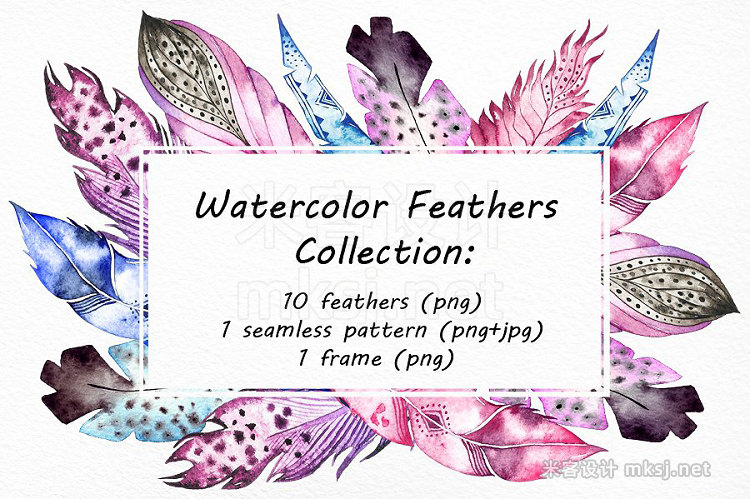 png素材 Watercolor Feathers clip art