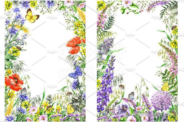 png素材 Watercolor Summer Wildflowers