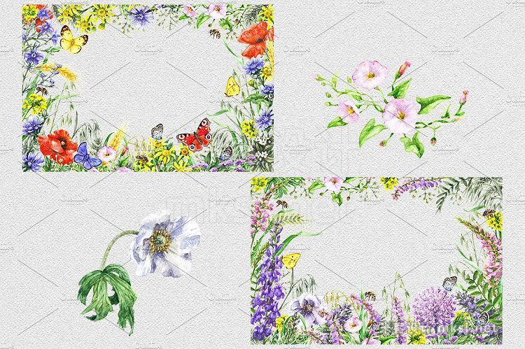 png素材 Watercolor Summer Wildflowers