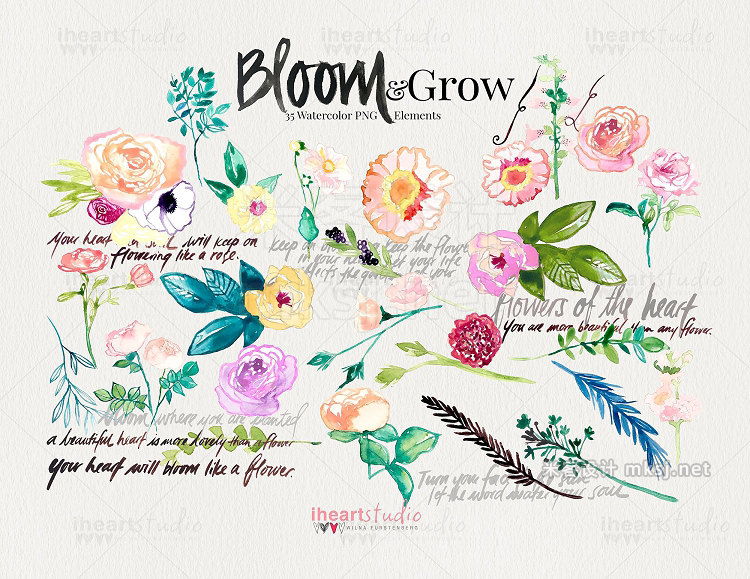 png素材 Bloom Grow Watercolors