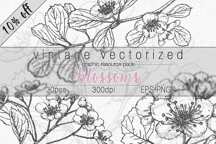 png素材 VintageVectorized-Blossoms Clipart