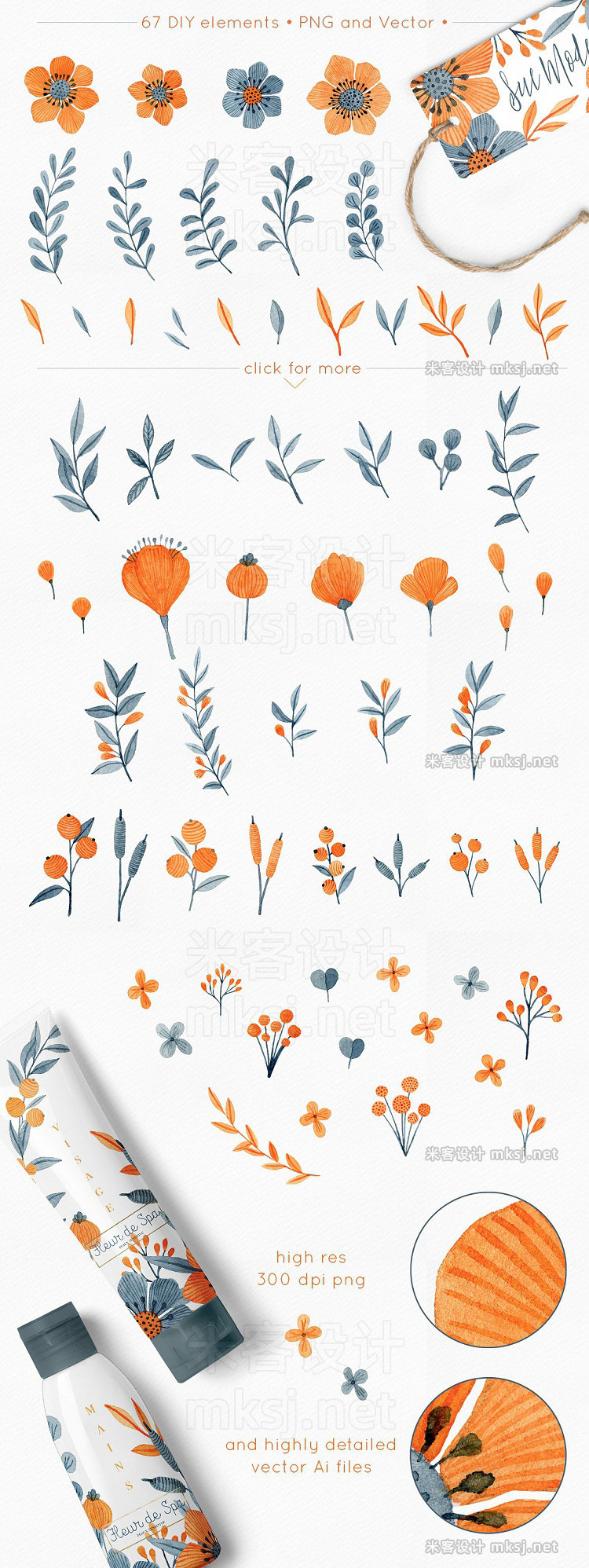 png素材 Floral Watercolor Graphics Bundle