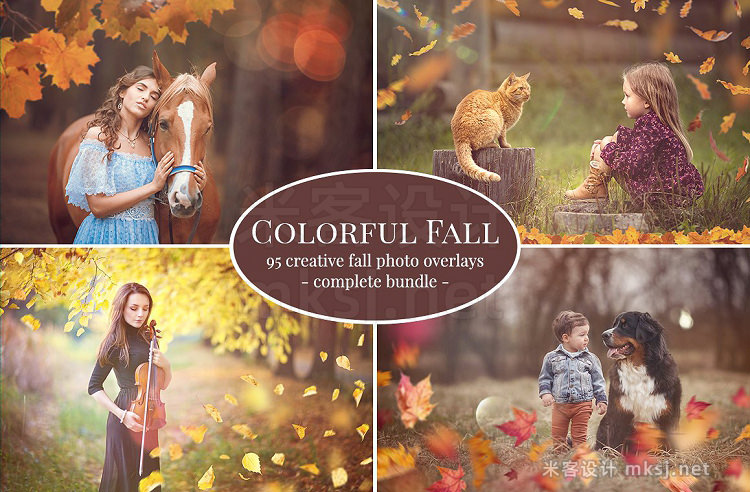png素材 Colorful Fall Photo Overlays