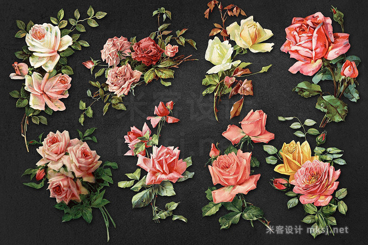 png素材 Vintage Rose Graphics