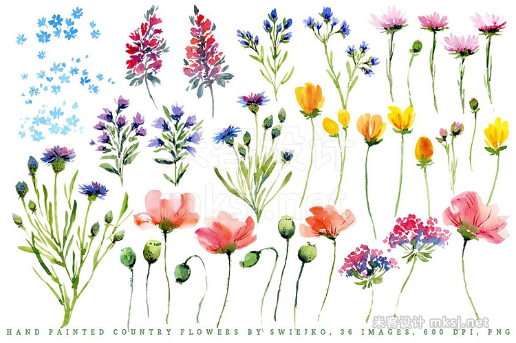 png素材 Hand painted country flowers
