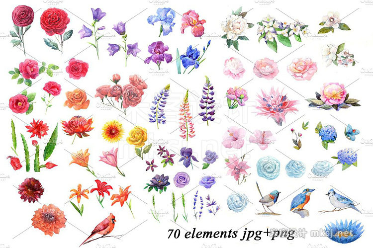 png素材 Watercolor flowersbirds