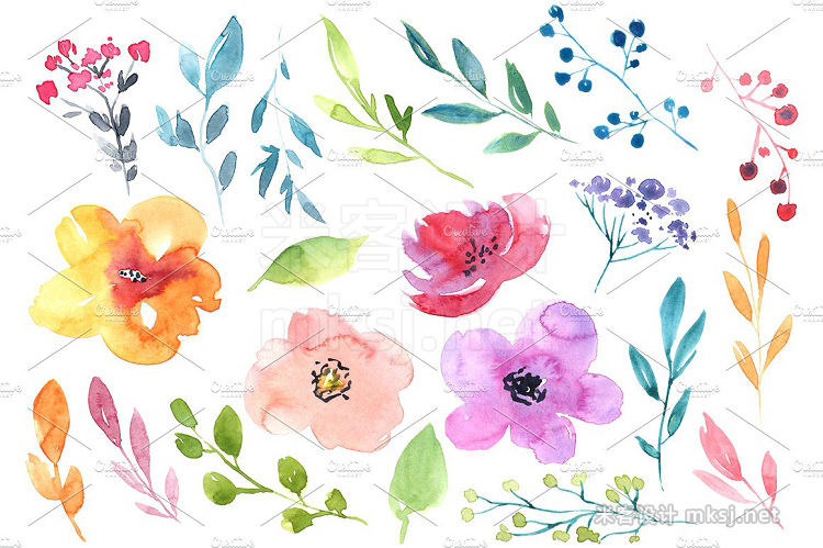 png素材 Watercolour flowers branches leaves