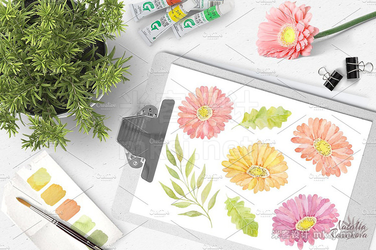 png素材 Watercolor set of gerbera flowers