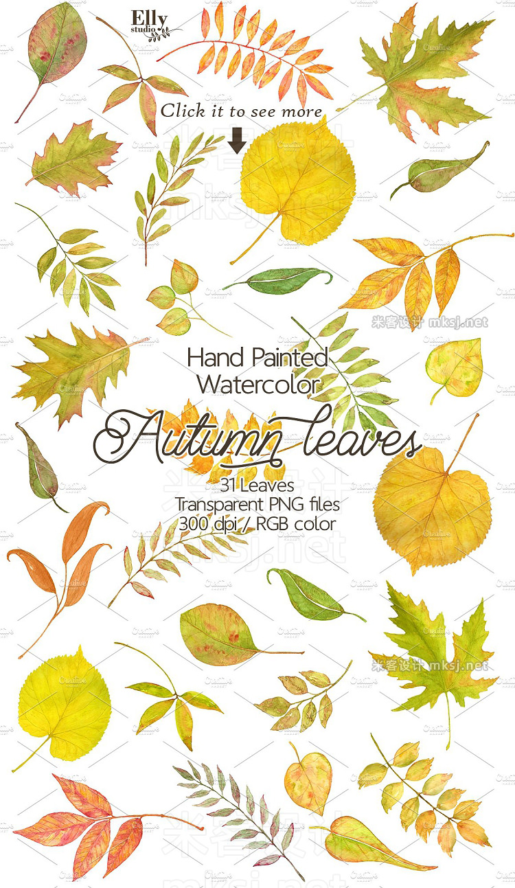 png素材 Watercolor autumn leaves clip art