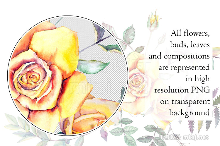 png素材 Watercolor Flowers Clipart - Roses