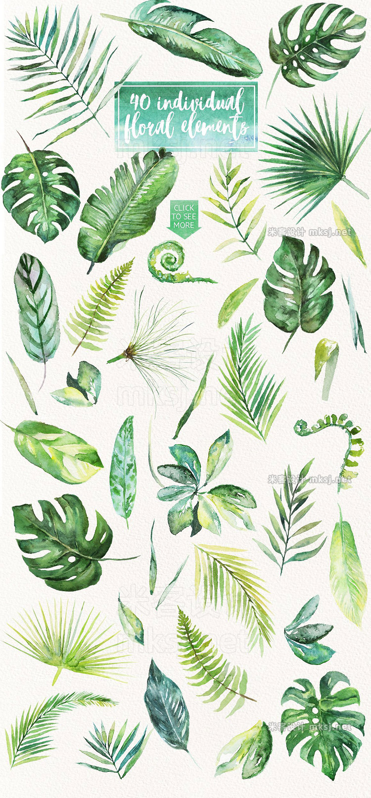 png素材 Tropical Leaves Clip Art 50 images